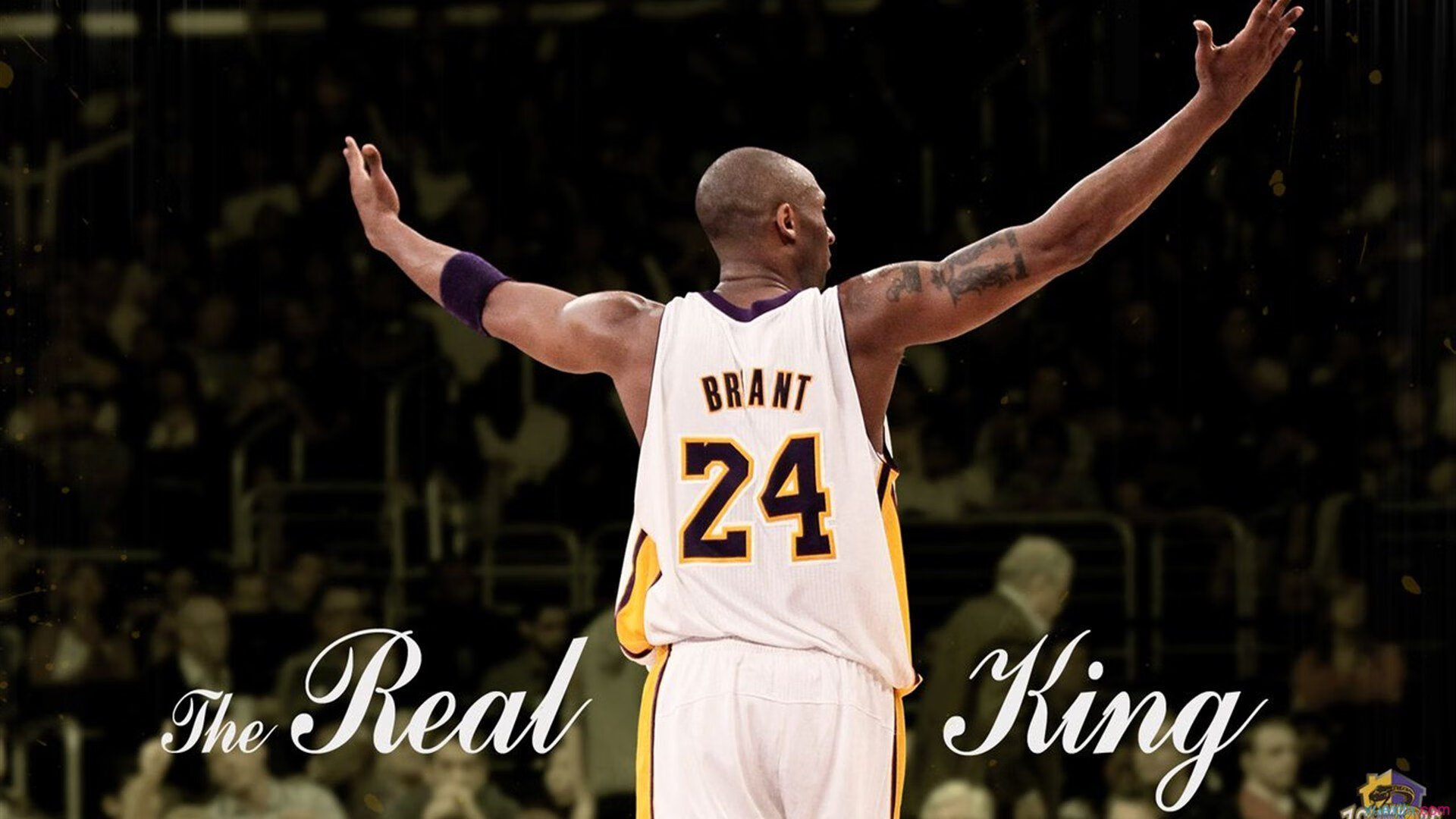 万博-纳达尔新冠检测阳性